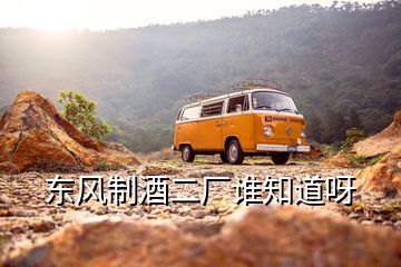東風(fēng)制酒二廠誰(shuí)知道呀