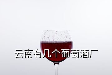 云南有幾個(gè)葡萄酒廠