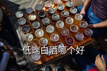 低端白酒哪個(gè)好