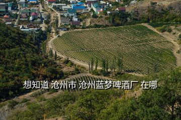 想知道 滄州市 滄州藍(lán)夢(mèng)啤酒廠 在哪