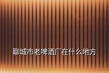 聊城市老啤酒廠在什么地方