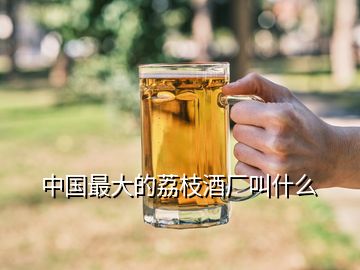 中國最大的荔枝酒廠叫什么