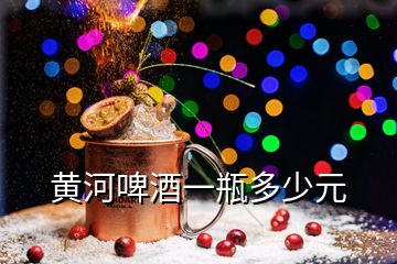 黃河啤酒一瓶多少元