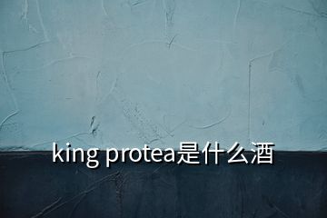 king protea是什么酒