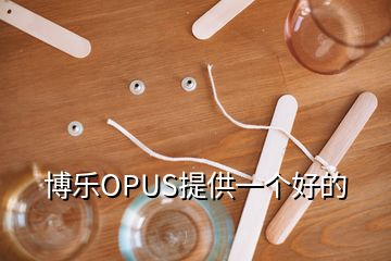 博樂OPUS提供一個(gè)好的