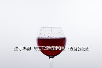 誰有啤酒廠的工藝流程圖和重點(diǎn)設(shè)備裝配圖