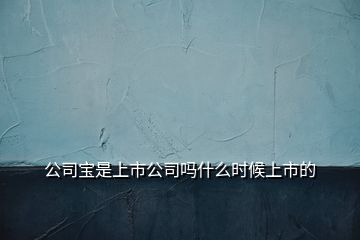 公司寶是上市公司嗎什么時(shí)候上市的