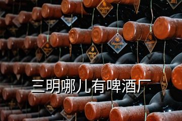 三明哪兒有啤酒廠