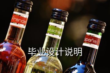 畢業(yè)設(shè)計說明