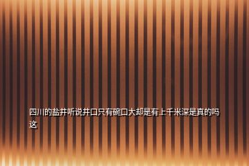 四川的鹽井聽說井口只有碗口大卻是有上千米深是真的嗎這