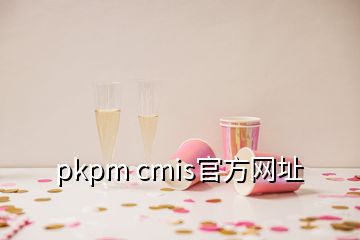 pkpm cmis官方網(wǎng)址