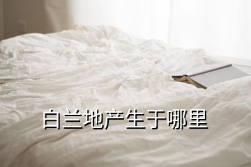 白蘭地產(chǎn)生于哪里