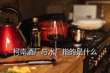 柯南酒廠與水廠指的是什么