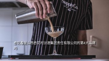 杏花春是山西杏花村汾酒集團(tuán)責(zé)任有限公司的第4大品牌嗎