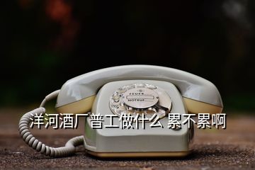 洋河酒廠普工做什么 累不累啊