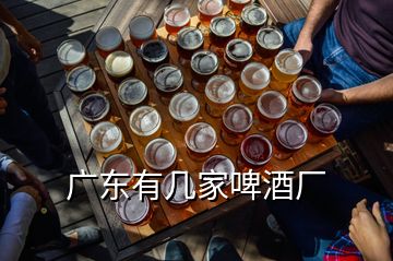 廣東有幾家啤酒廠