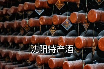 沈陽特產(chǎn)酒