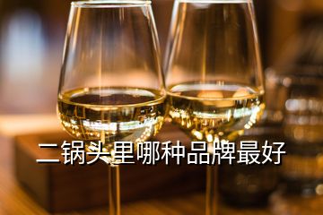 二鍋頭里哪種品牌最好