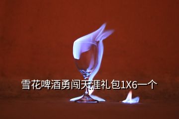 雪花啤酒勇闖天涯禮包1X6一個