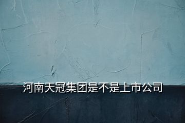 河南天冠集團(tuán)是不是上市公司