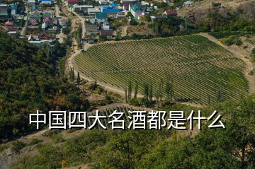 中國(guó)四大名酒都是什么