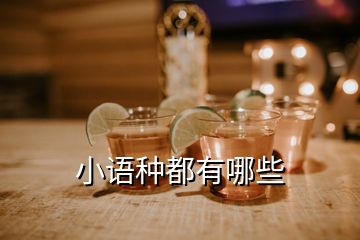 小語種都有哪些