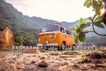 家里有兩瓶茅臺放了有12年以上了53度的現(xiàn)在能值多少錢啊