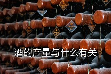 酒的產(chǎn)量與什么有關(guān)