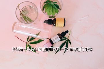 長(zhǎng)城有一款類似面包的車是哪一款 軍綠色的 好像