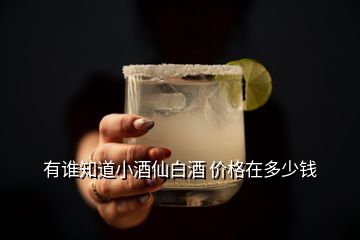 有誰知道小酒仙白酒 價格在多少錢