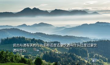 說(shuō)出與酒有關(guān)的行為名稱適度適量飲酒叫什么過(guò)度過(guò)量飲酒叫什么