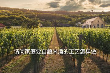 請(qǐng)問家庭要自釀米酒的工藝怎樣做