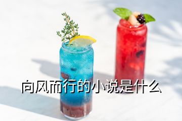 向風(fēng)而行的小說(shuō)是什么