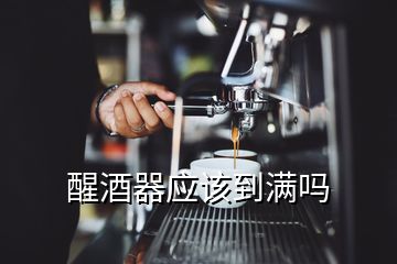 醒酒器應(yīng)該到滿嗎