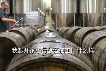 我想開家小行釀酒加工廠什么樣