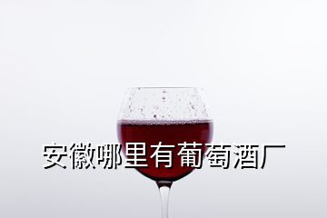 安徽哪里有葡萄酒廠