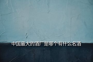 中國(guó)最大的酒廠是哪個(gè)有什么名酒