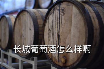 長城葡萄酒怎么樣啊