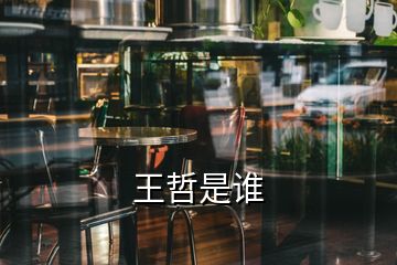 王哲是誰(shuí)