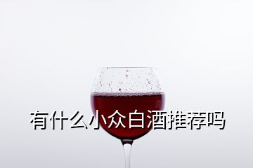 有什么小眾白酒推薦嗎