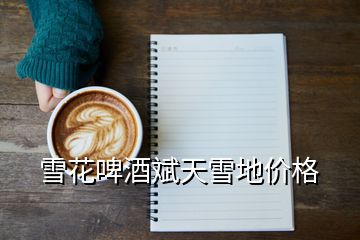雪花啤酒斌天雪地價(jià)格