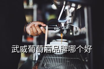 武威葡萄酒品牌哪個(gè)好