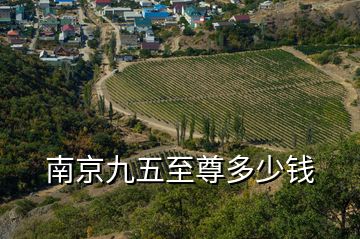南京九五至尊多少錢(qián)