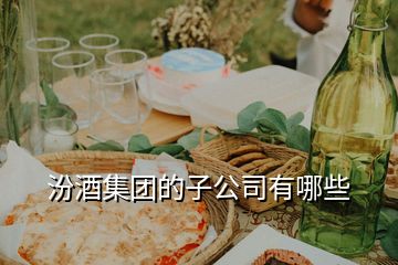 汾酒集團(tuán)的子公司有哪些