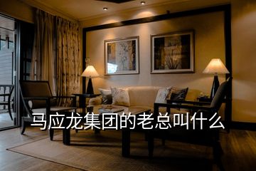 馬應龍集團的老總叫什么