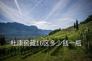 杜康窖藏16區(qū)多少錢一瓶