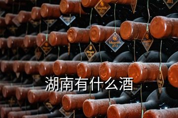 湖南有什么酒