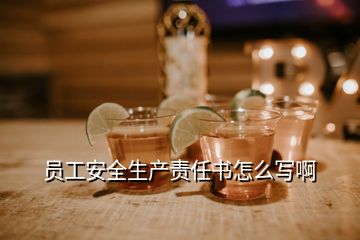 員工安全生產(chǎn)責(zé)任書怎么寫啊