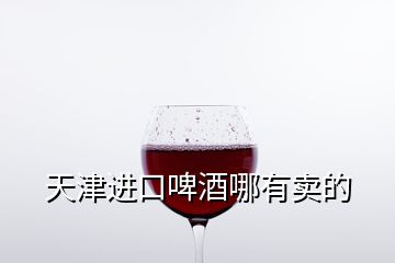 天津進(jìn)口啤酒哪有賣的