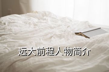 遠(yuǎn)大前程人物簡(jiǎn)介